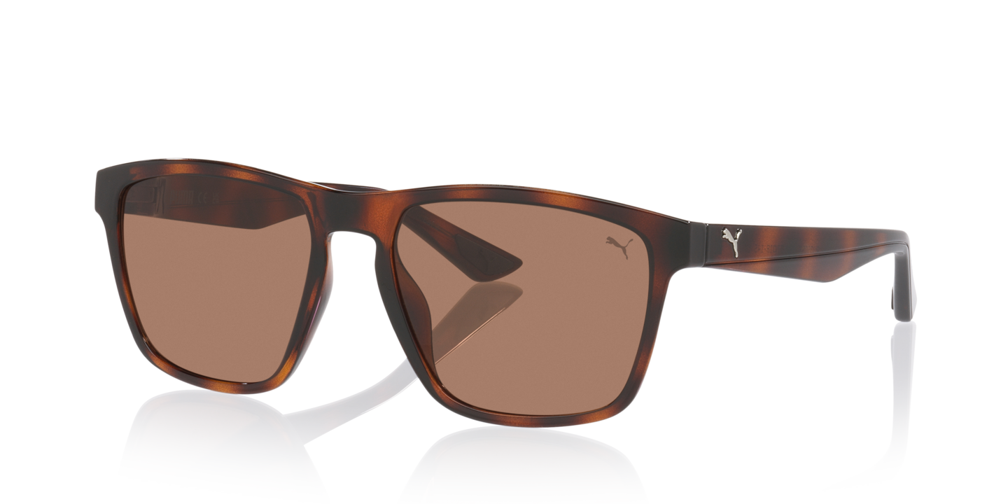 Puma PU0505S Tortoise