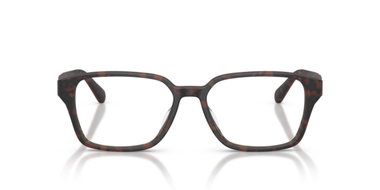 FZ8029D Scuderia Ferrari Havana/Burgundy