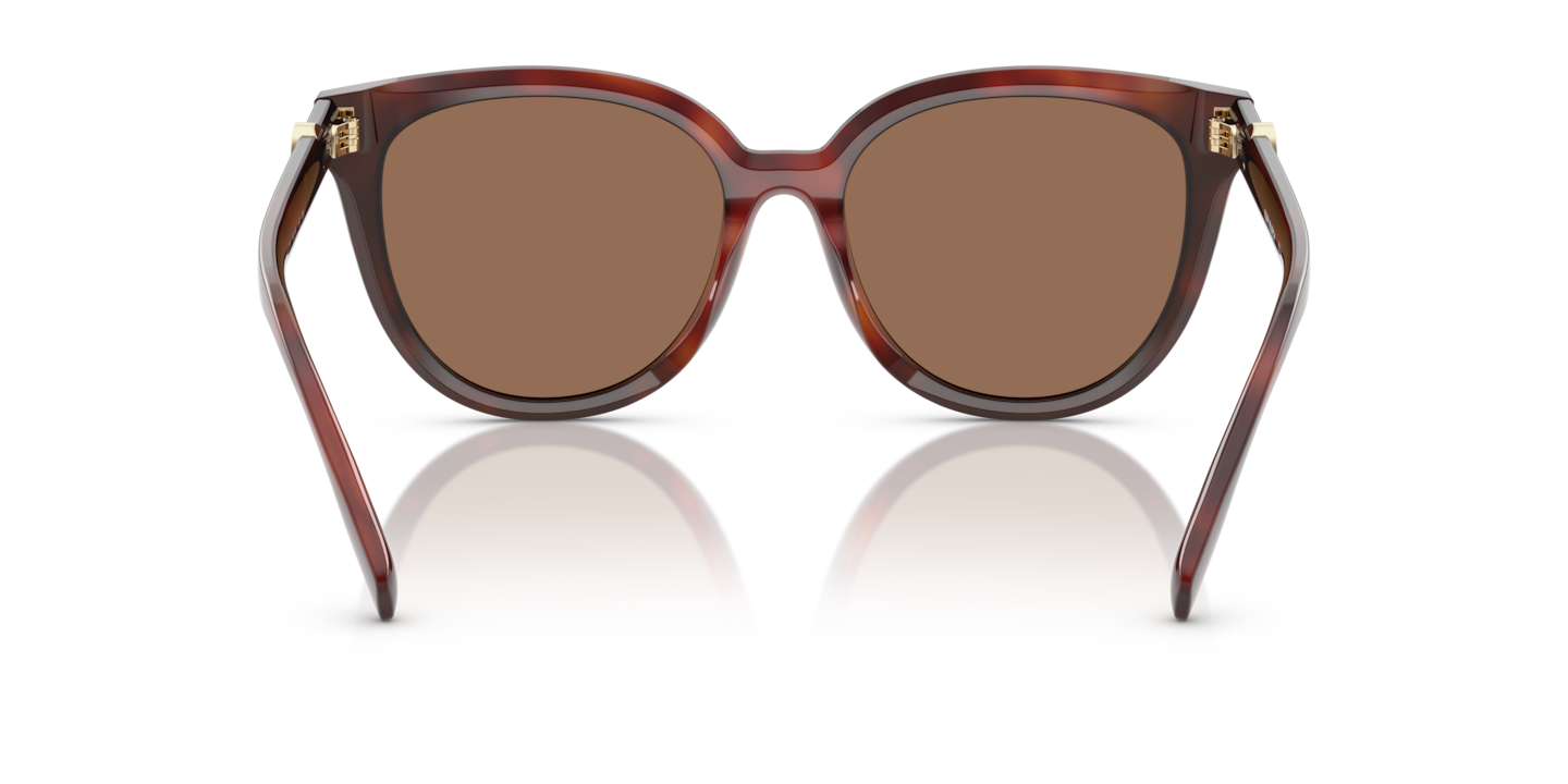 Sunglasses Tory Burch TY7213D | Free Shipping | Glasses.com®