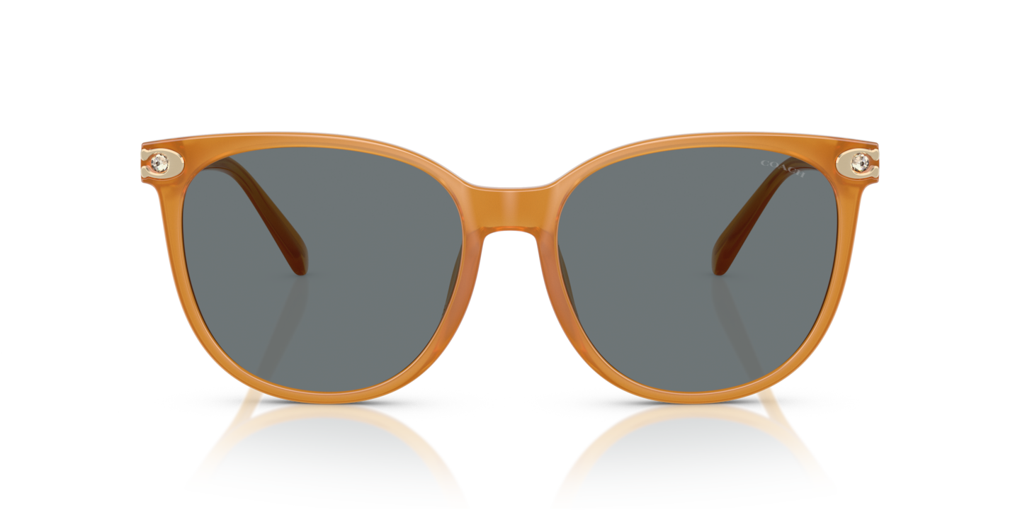 Sunglasses Coach HC8414BD CW428 | Free Shipping | Glasses.com®