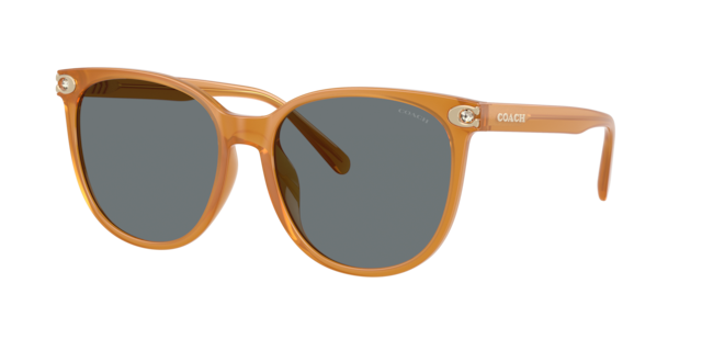 Shop Womens Sunglasses Coach at Glasses.com | Glasses.com®