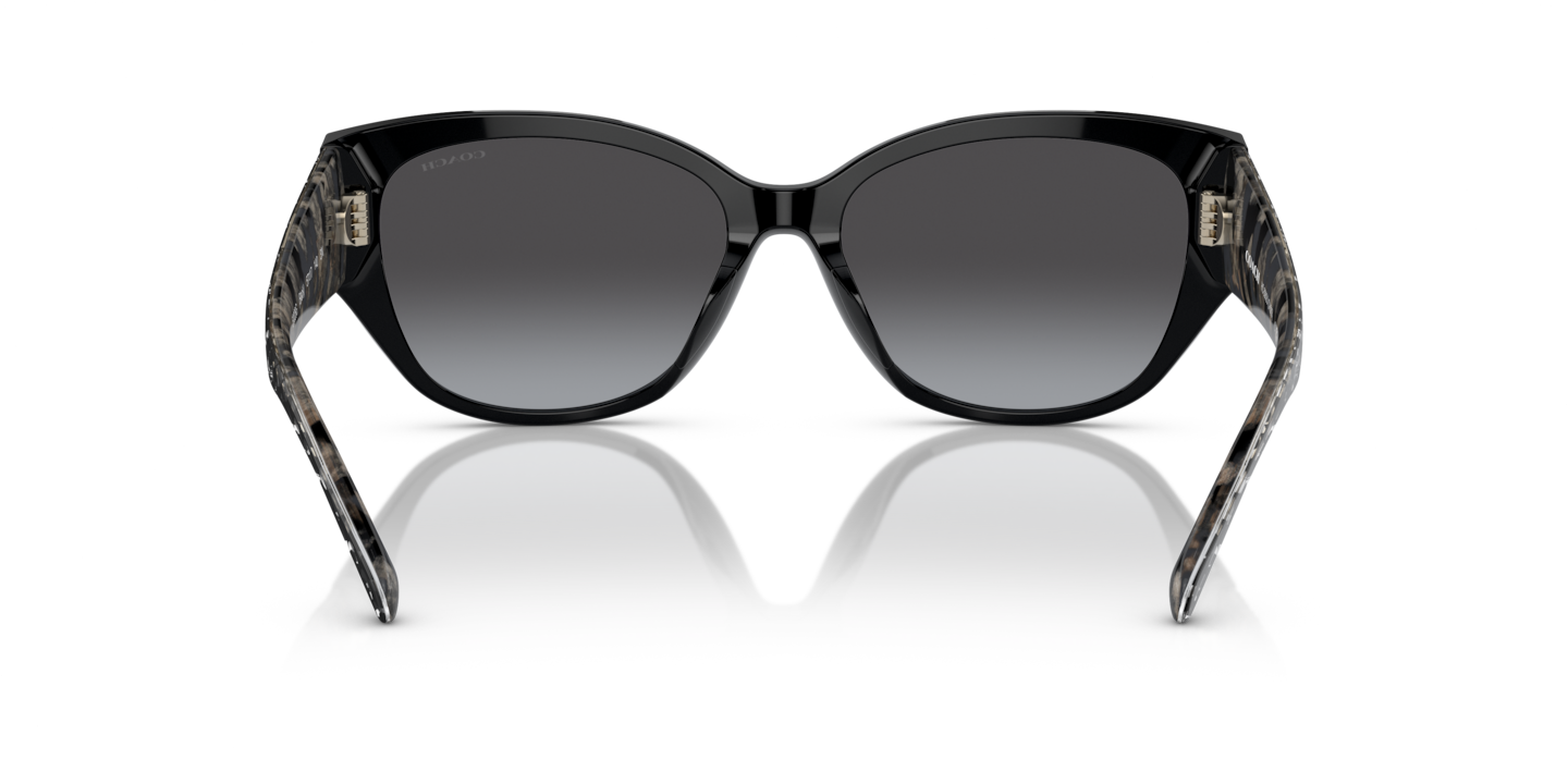 Sunglasses Coach HC8362U CH563 | Free Shipping | Glasses.com®