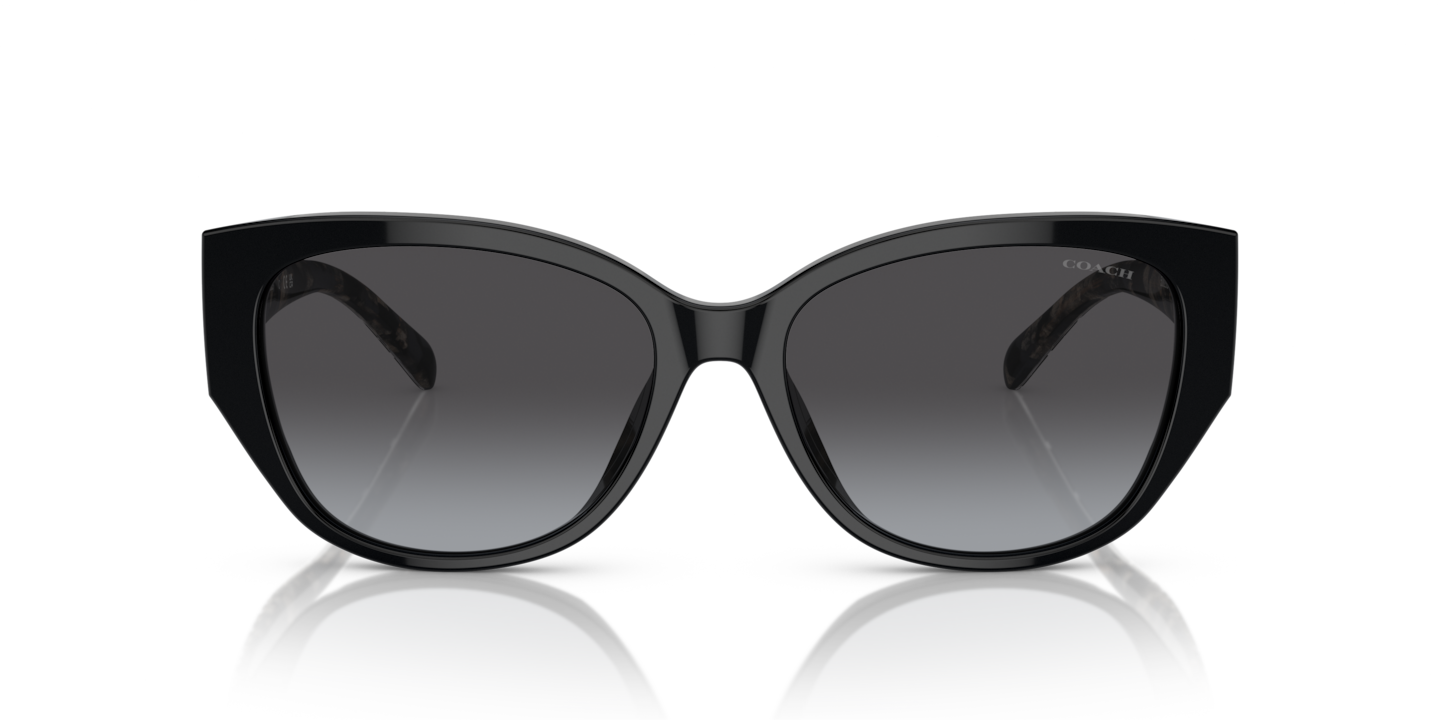 COACH サングラス HC8362U CH563 Coach HC8362U - CH563 Sunglasses | Select Eyewear