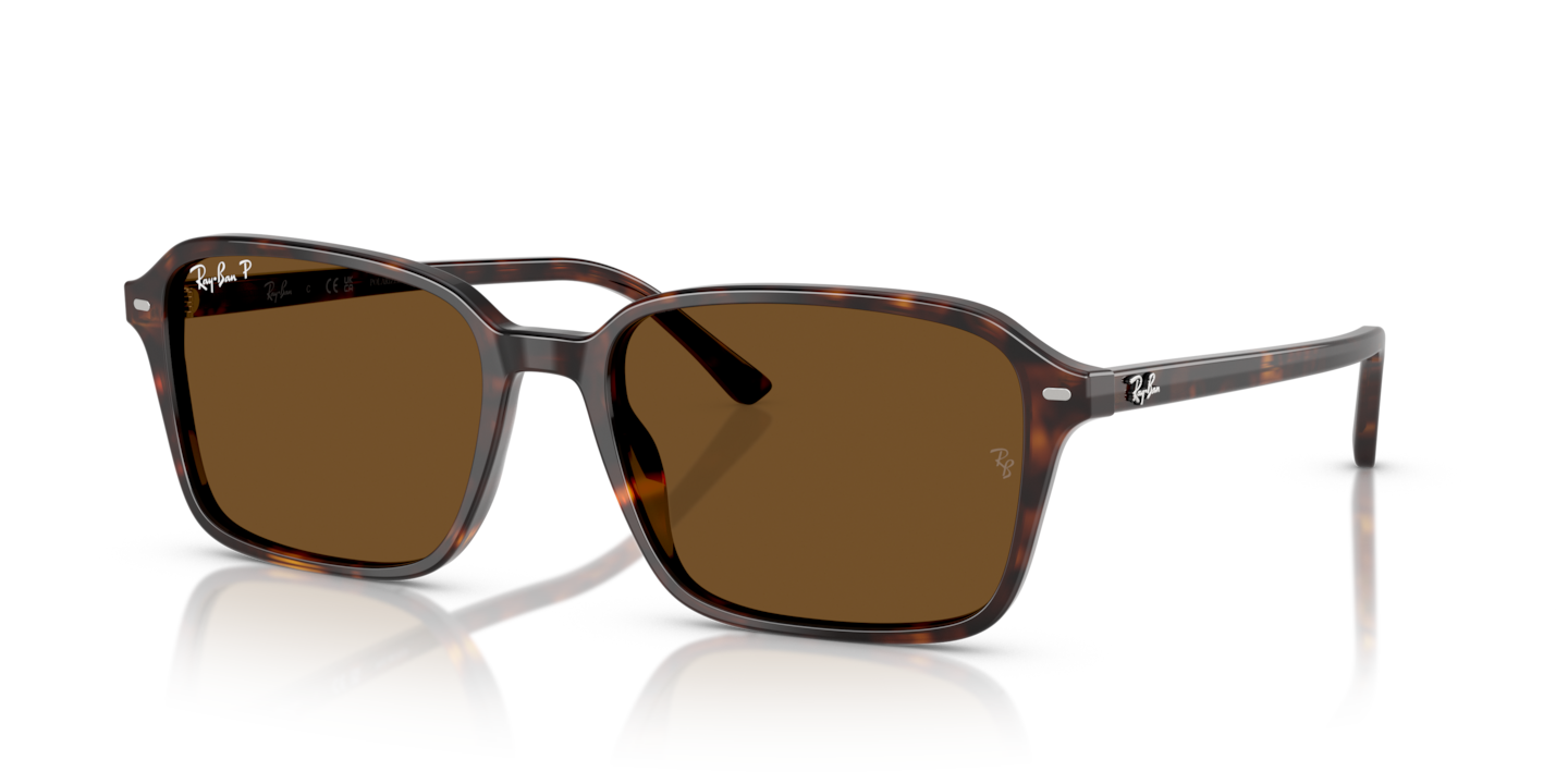 Ray-Ban RB2231 Raimond Havana