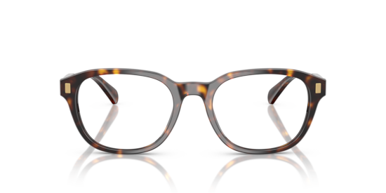 RA7172U Ralph by Ralph Lauren Shiny Dark Havana