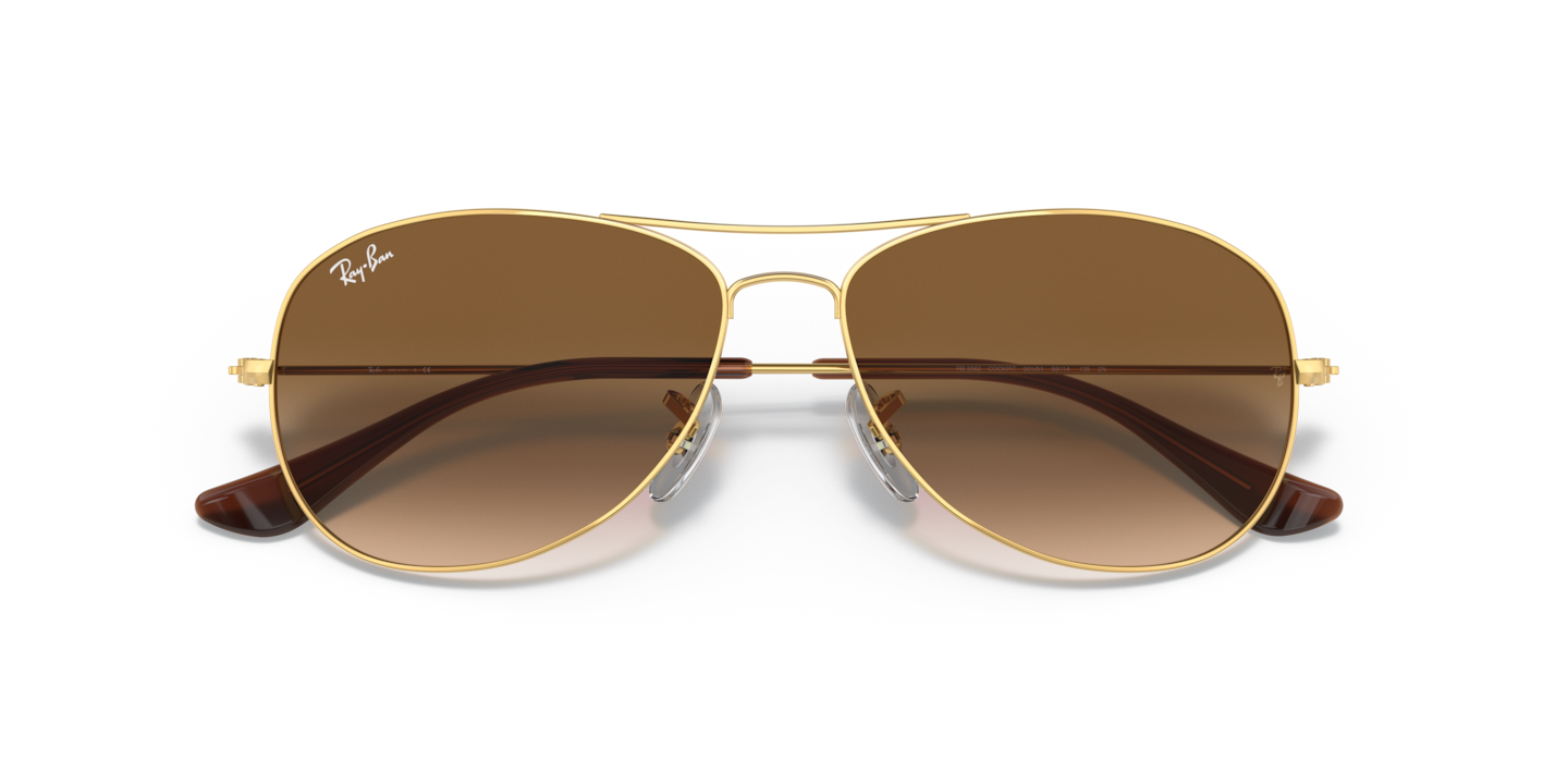 Sunglasses Ray-Ban RB3362 Cockpit | Free Shipping | Glasses.com®