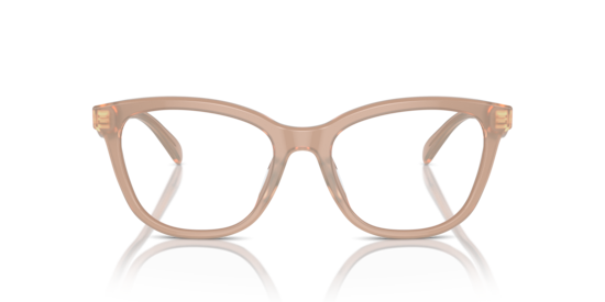 HC6232U Coach Milky Light Brown