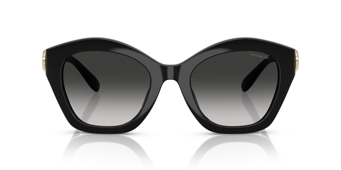 Sunglasses Coach HC8421U CAD31 | Free Shipping | Glasses.com® display picture 1