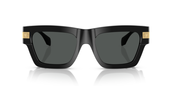 VE4464 Versace Black