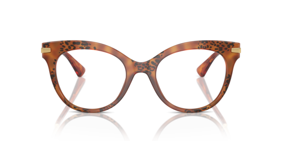 DG3392 Dolce & Gabbana Havana Leo