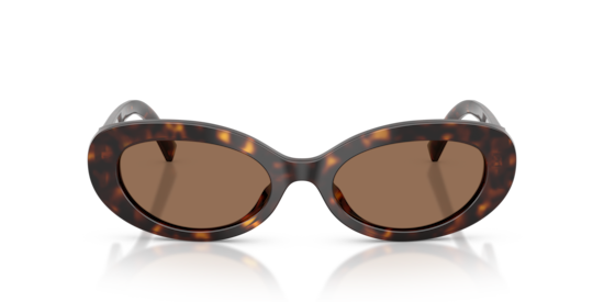 DG4537 Dolce & Gabbana Havana