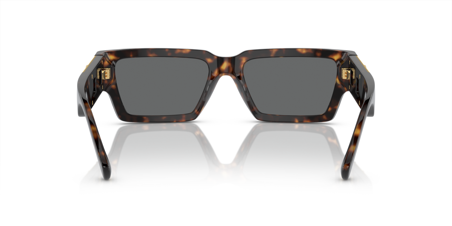 Sunglasses Versace VE4459 | Free Shipping | Glasses.com®