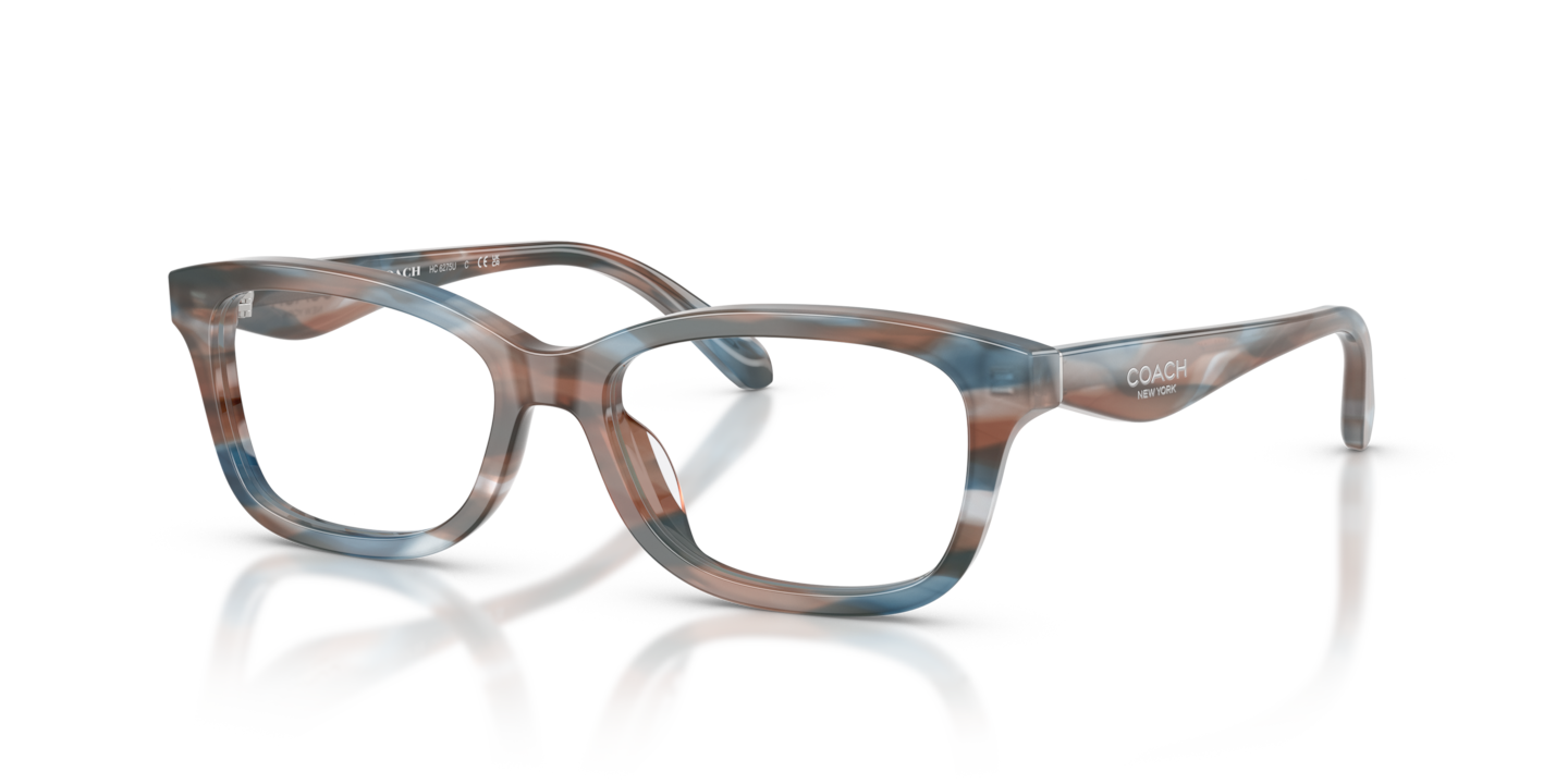 Coach HC6275U Striated Maple/Blueberry