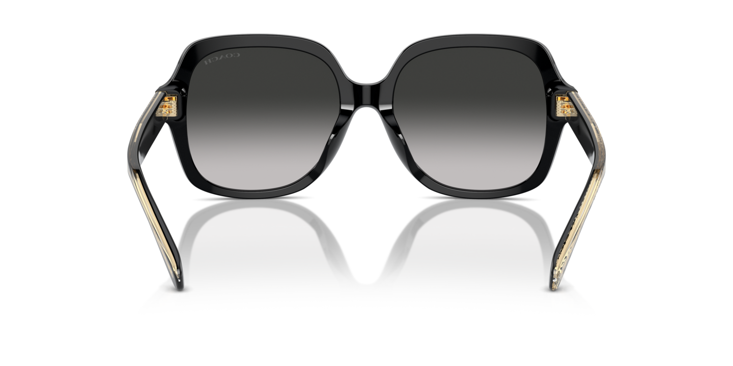 Sunglasses Coach HC8395U CR614 | Free Shipping | Glasses.com® display picture 1