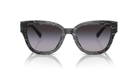 HC8379U CL920 Coach Grey Pearl Signature C