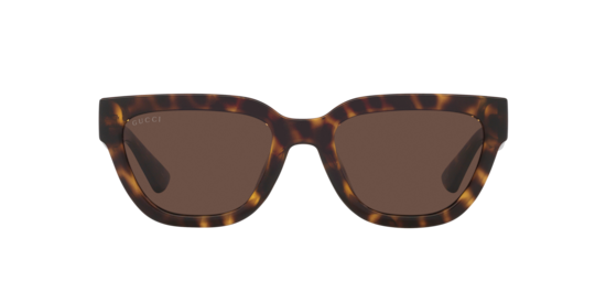 GG1578S Gucci Tortoise