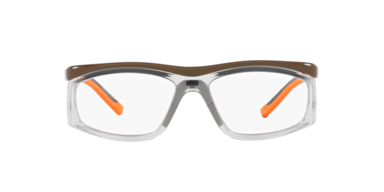 GRXS13 Guardian Brown Shiny