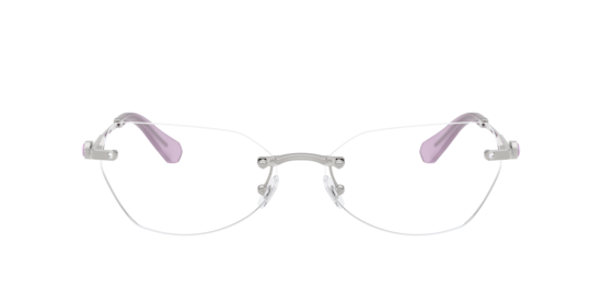 Eyeglasses Swarovski SK1031 | Free Shipping | Glasses.com®