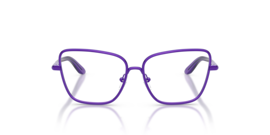 DX1102 Dolce & Gabbana Violet