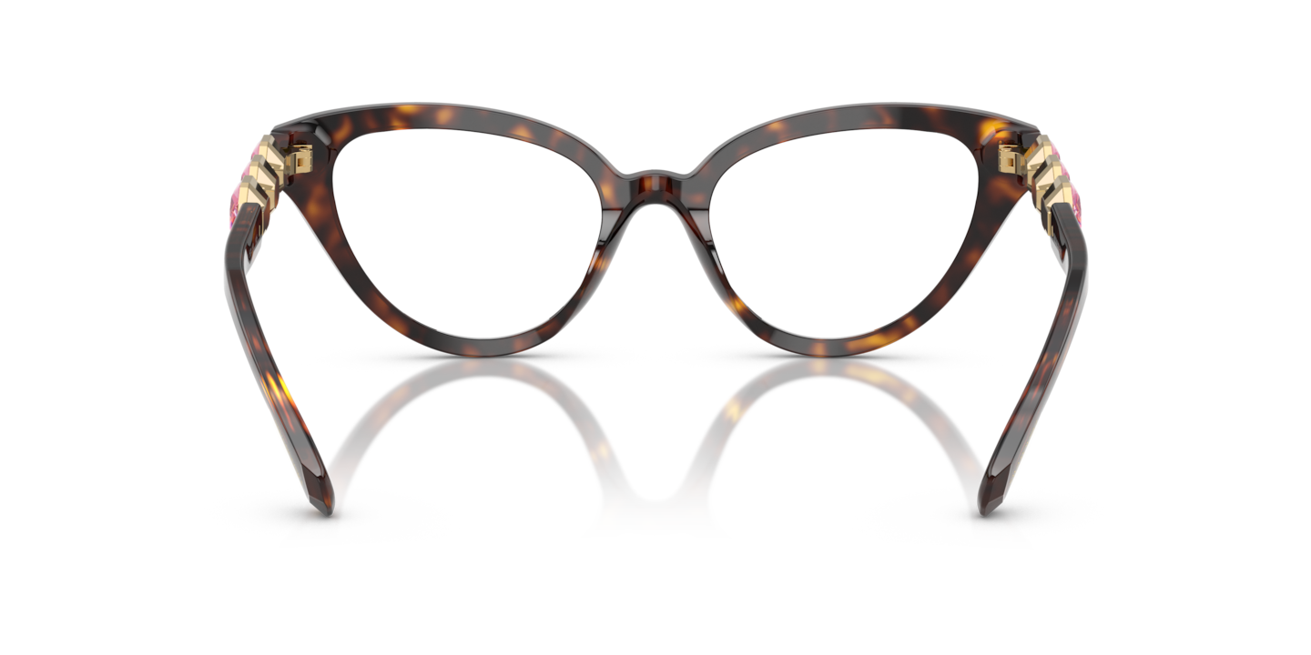 Eyeglasses Swarovski SK2028 | Free Shipping | Glasses.com®