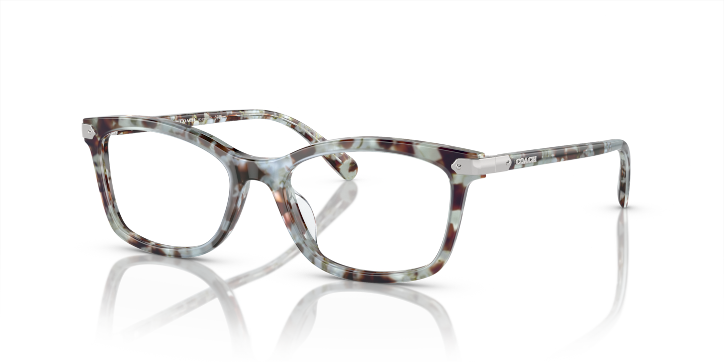 Coach HC6219U Seaglass Tortoise