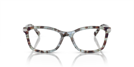 HC6219U Coach Seaglass Tortoise