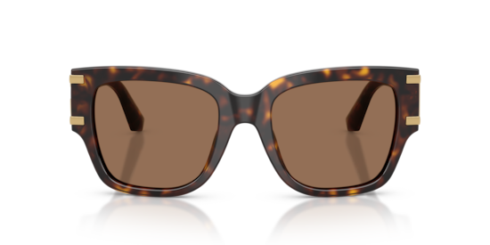 DG4563 Dolce & Gabbana Havana