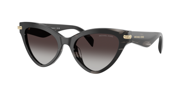 Sunglasses Michael Kors MK2259U Roanoke | Free Shipping | Glasses.com®