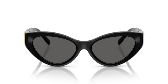 TF4225U Tiffany Black