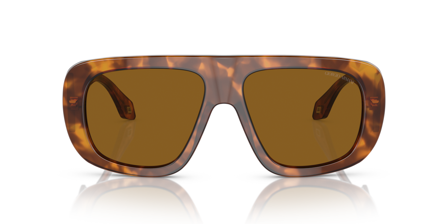 Sunglasses Giorgio Armani AR8183 | Free Shipping | Glasses.com®