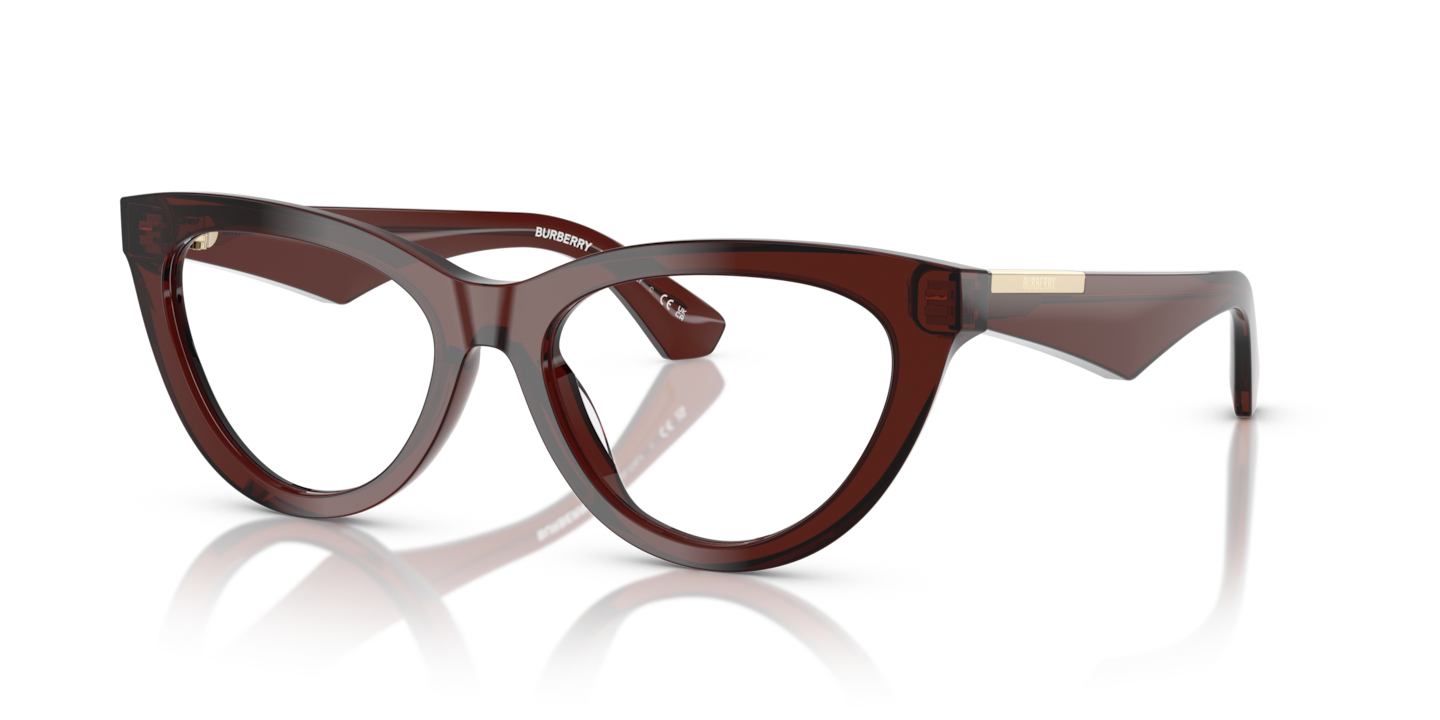 Burberry BE2418U Brown