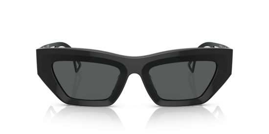 VE4432U Versace Black