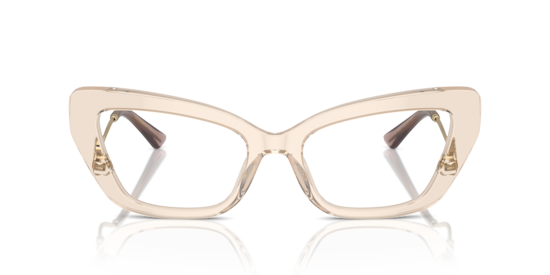 DG3391B Dolce & Gabbana Transparent Camel