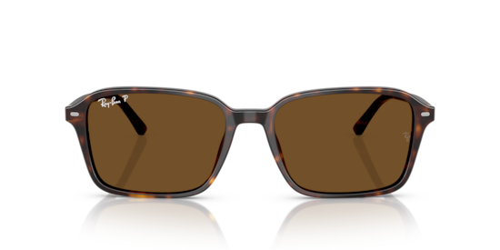 RB2231 Raimond Ray-Ban Havana