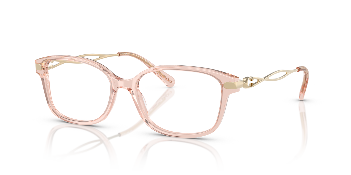 Coach HC6172 Transparent Dusty Rose