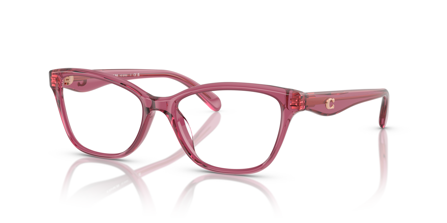 Coach HC6243U Transparent Burgundy