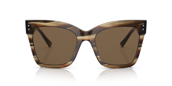 AR8175 Giorgio Armani Striped Brown