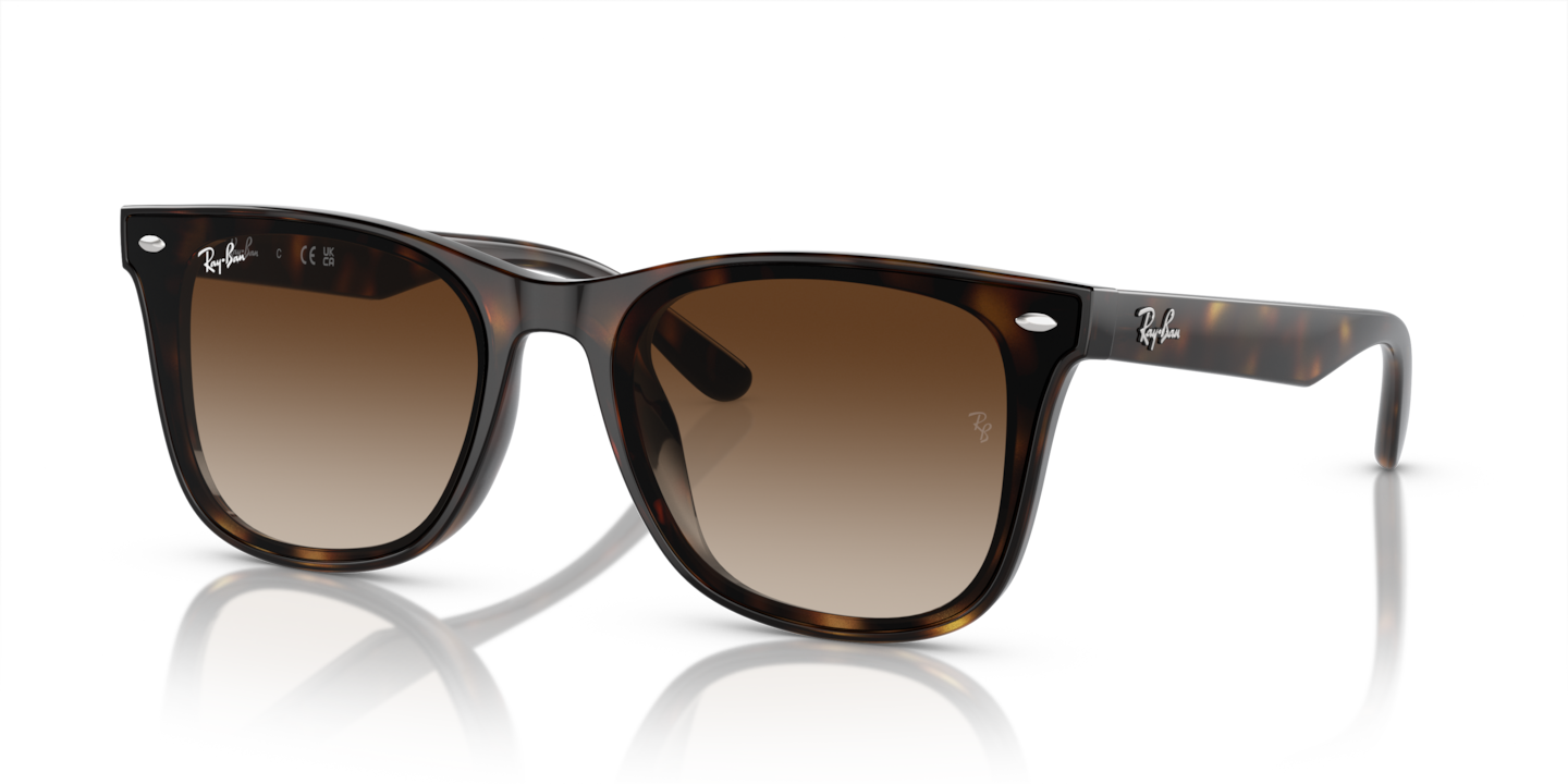 Ray-Ban RB4420 Havana