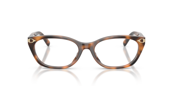 RL6268U Ralph Lauren Havana