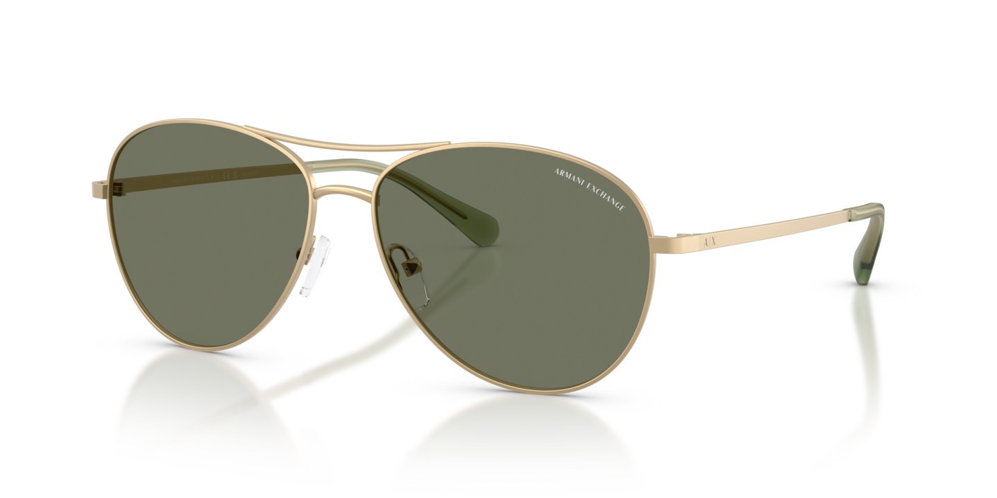 Armani Exchange AX2061S Matte Pale Gold