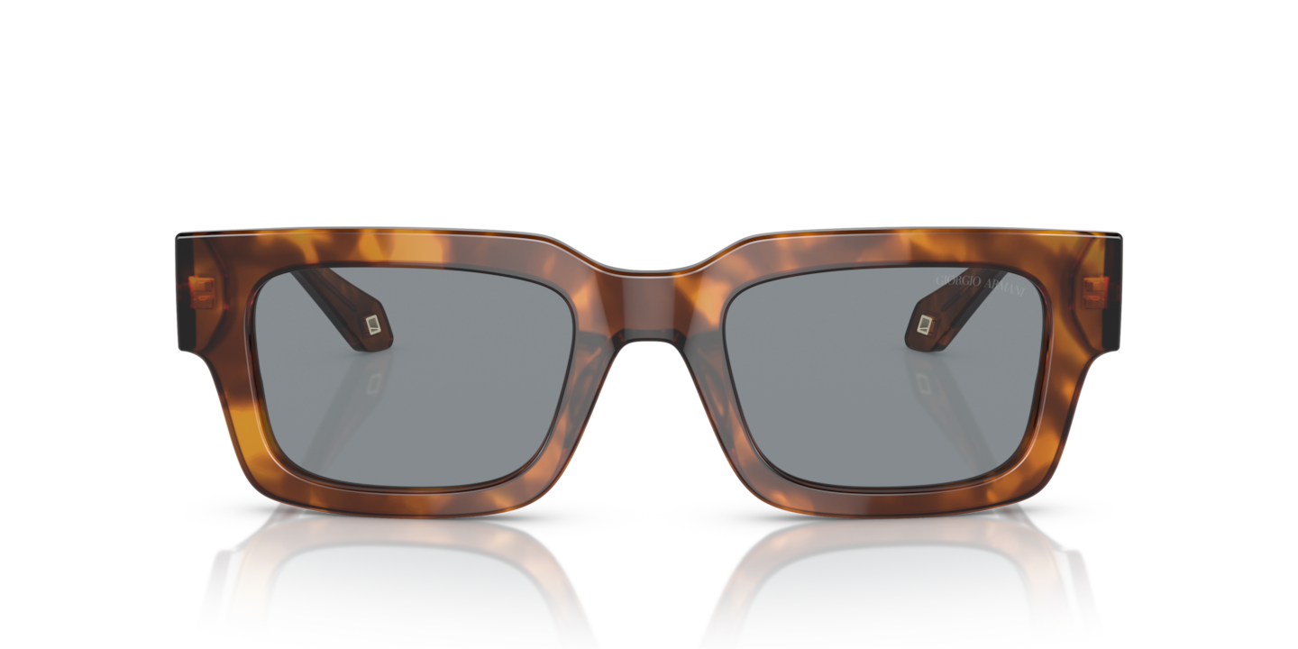 Sunglasses Giorgio Armani AR8184U | Free Shipping | Glasses.com®