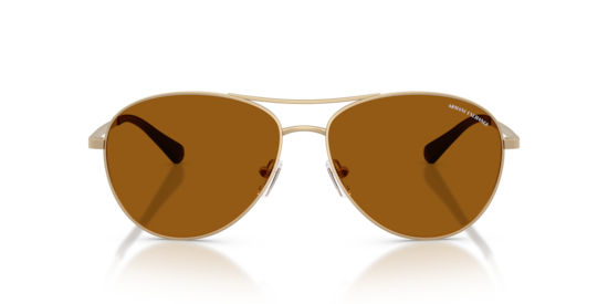 AX2061S Armani Exchange Matte Pale Gold