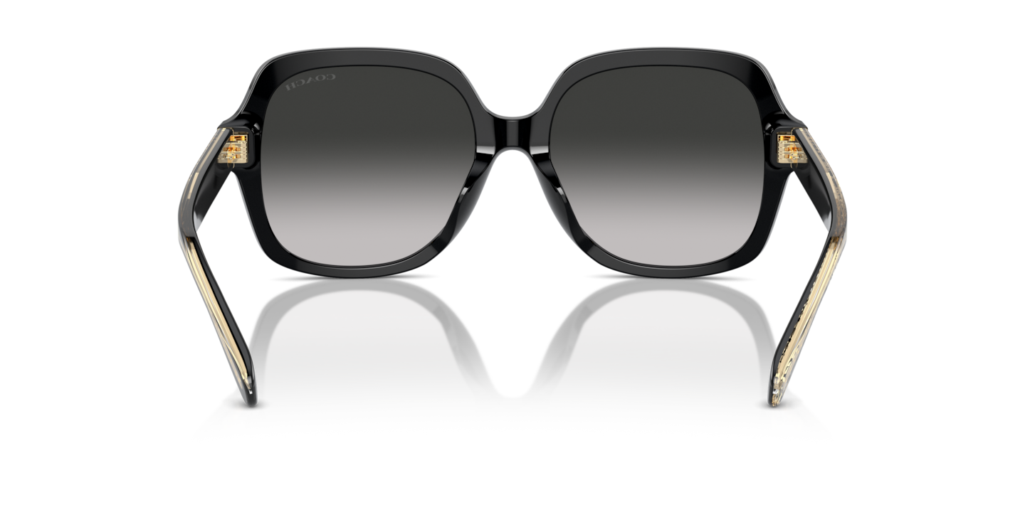 Sunglasses Coach HC8395U CR614 | Free Shipping | Glasses.com®