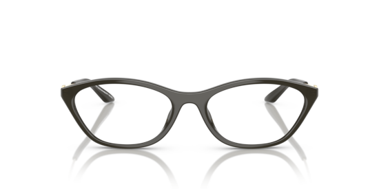 AX3121U Armani Exchange Opalescent Dark Grey