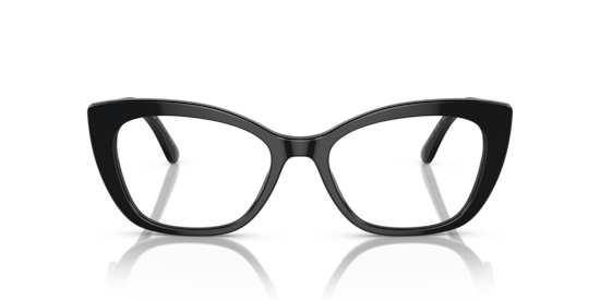 DG3360 Dolce & Gabbana Black/Transparent Grey