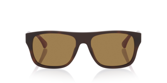 Gg2119S Gucci Tortoise