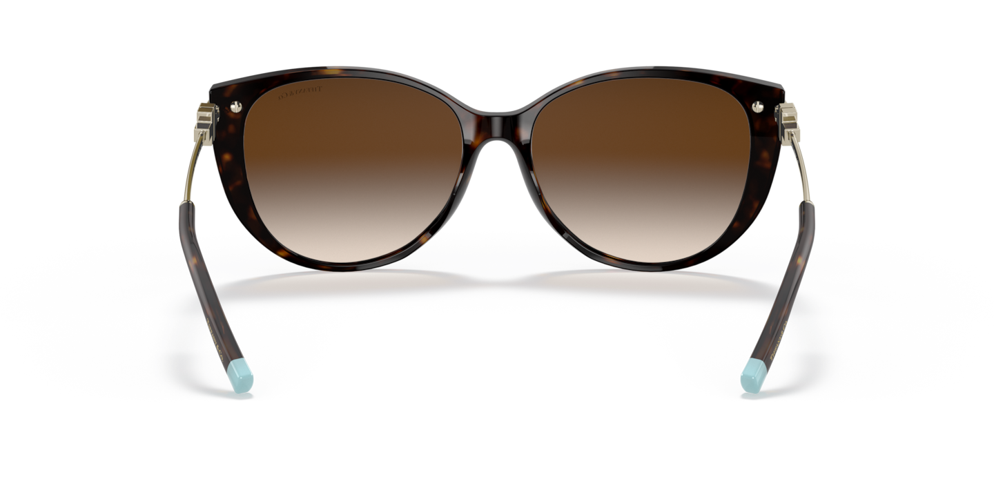 ティファニー　サングラス　TF4178BF デミブラウン アジアンフィット Sunglasses Tiffany TF4178 | Free Shipping | Glasses.com®