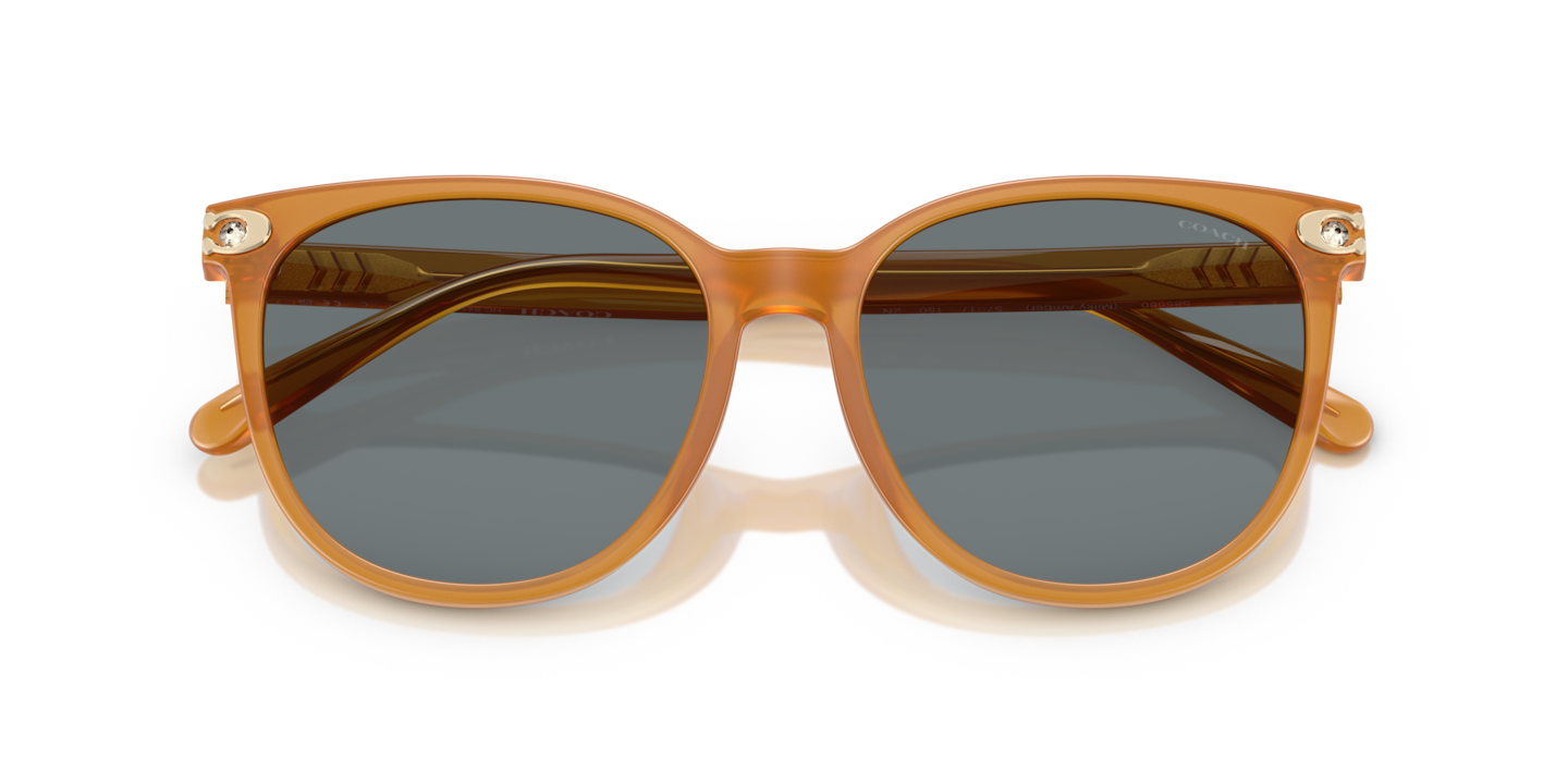 Sunglasses Coach HC8414BD CW428 | Free Shipping | Glasses.com®