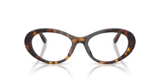 DG3450 Dolce & Gabbana Havana