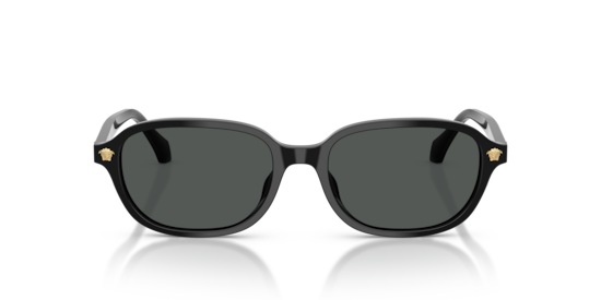 VE4514D Versace Black
